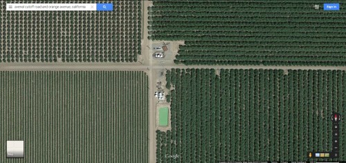 Overview (Check 20) closer